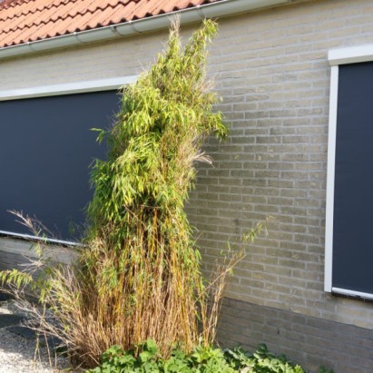 Ritsscreen Smart