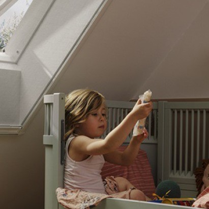 VELUX insectenhor