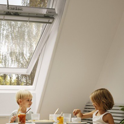 VELUX insectenhor