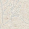 Aster Linen Delight 1182