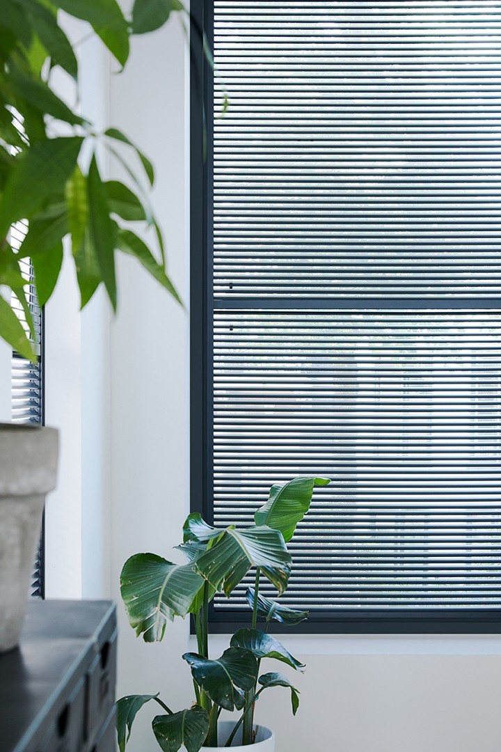 Lamella