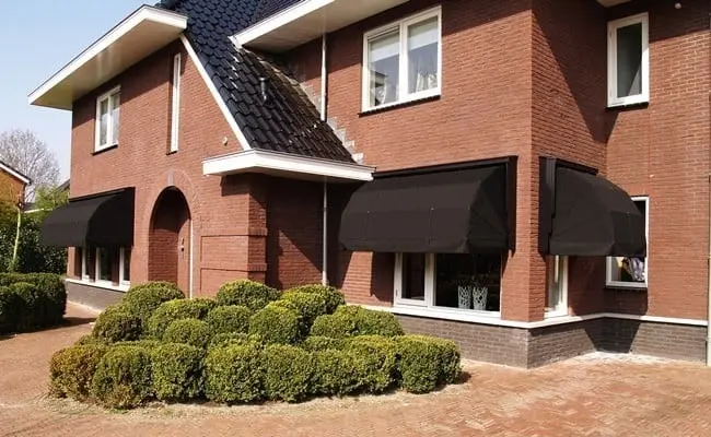 Markies hout