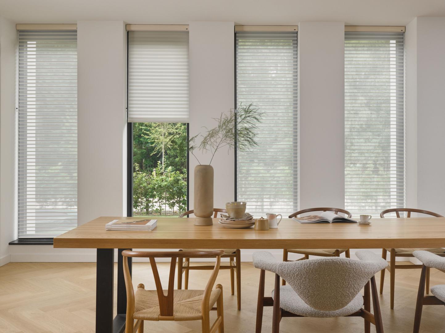 Luxaflex Silhouette® Shade