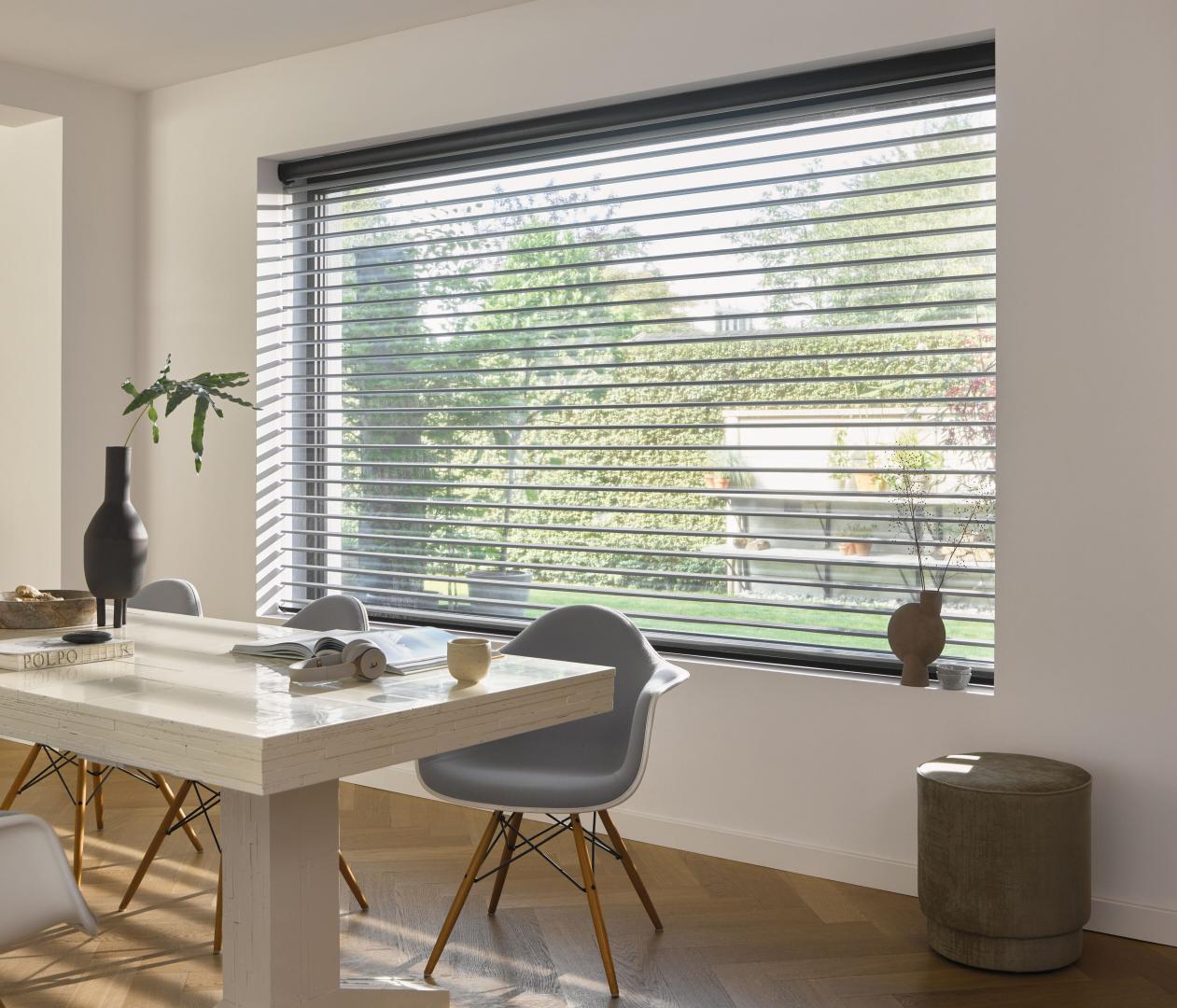 Luxaflex Silhouette® Shade