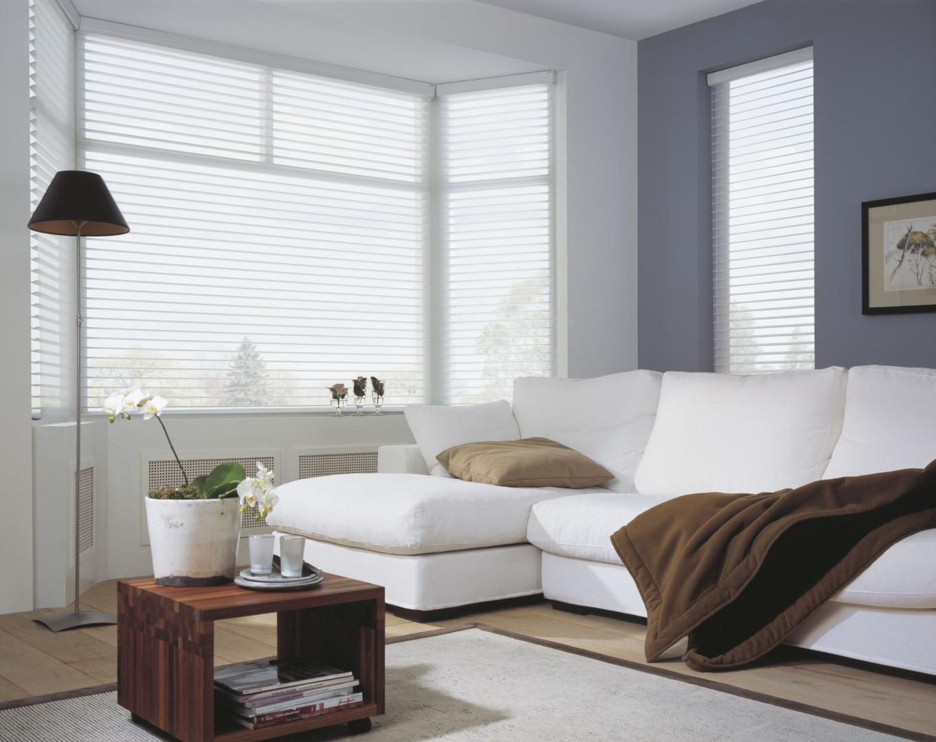 Luxaflex Silhouette® Shade