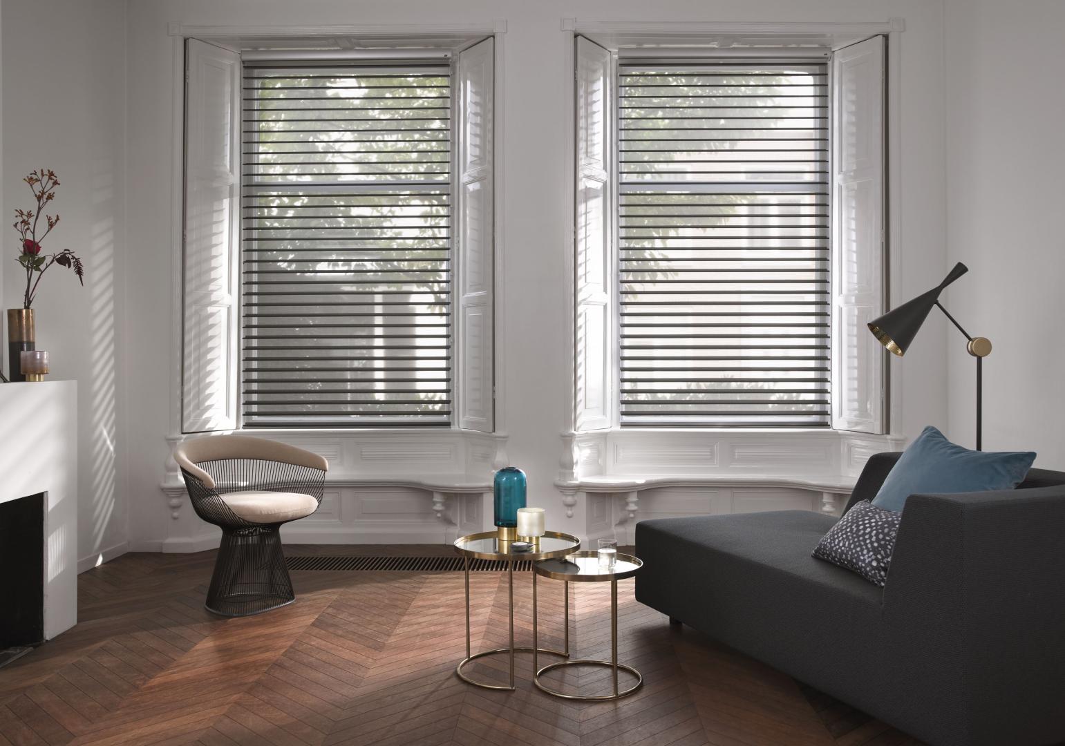 Luxaflex Silhouette® Shade
