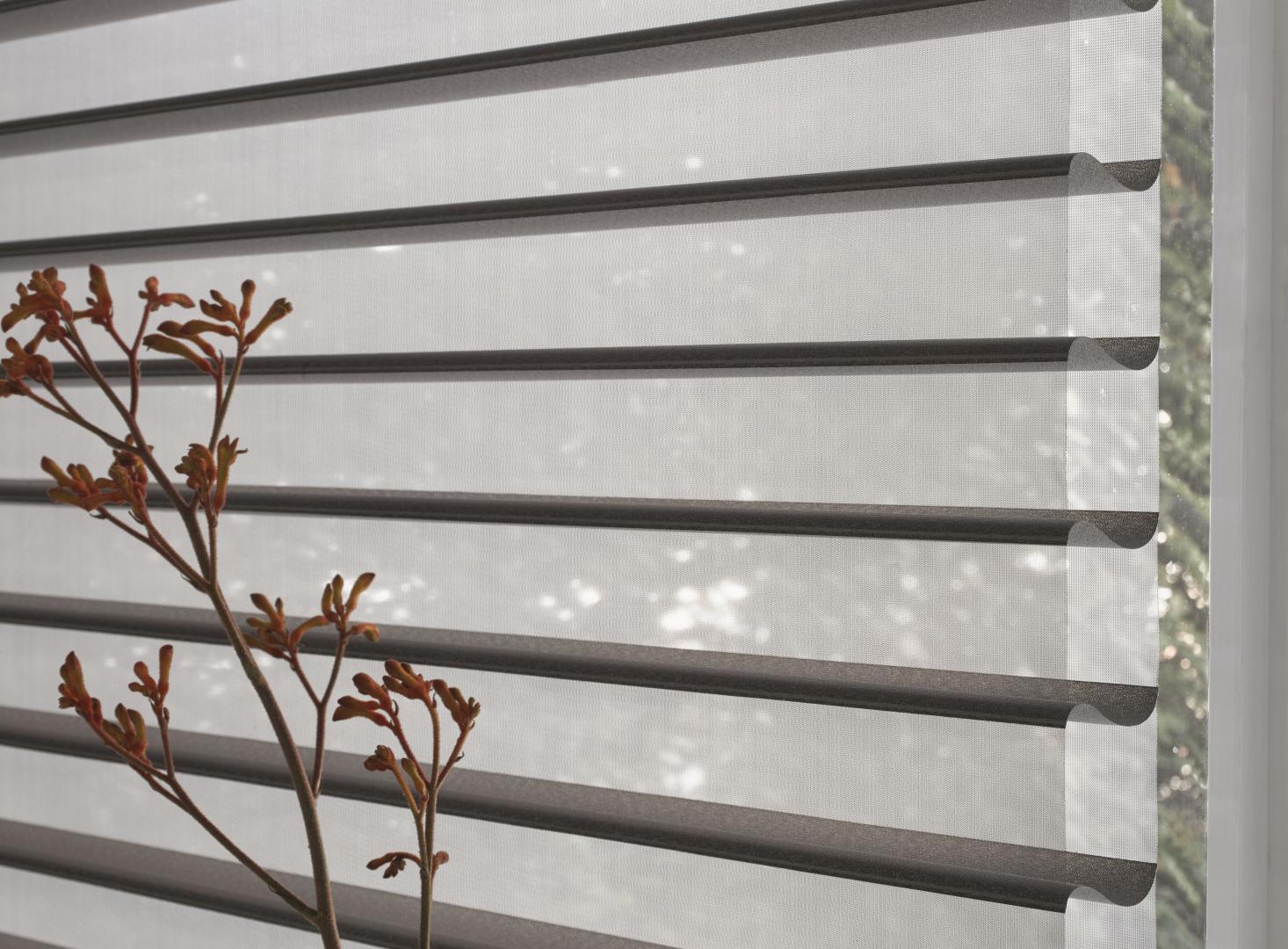 Luxaflex Silhouette® Shade