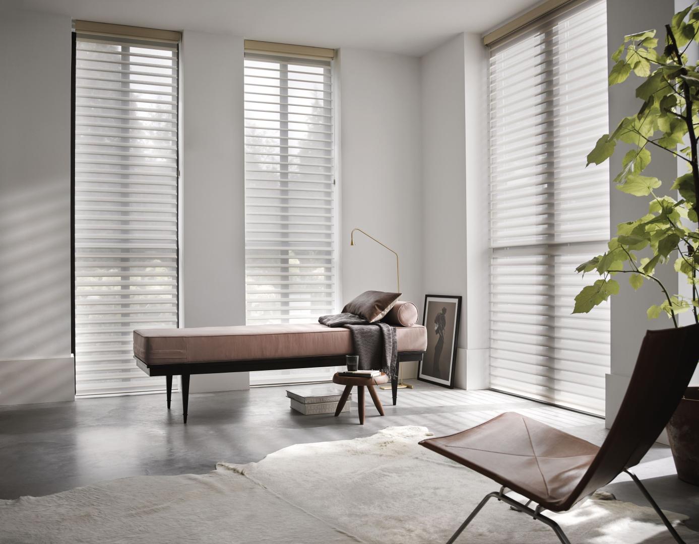 Luxaflex Silhouette® Shade