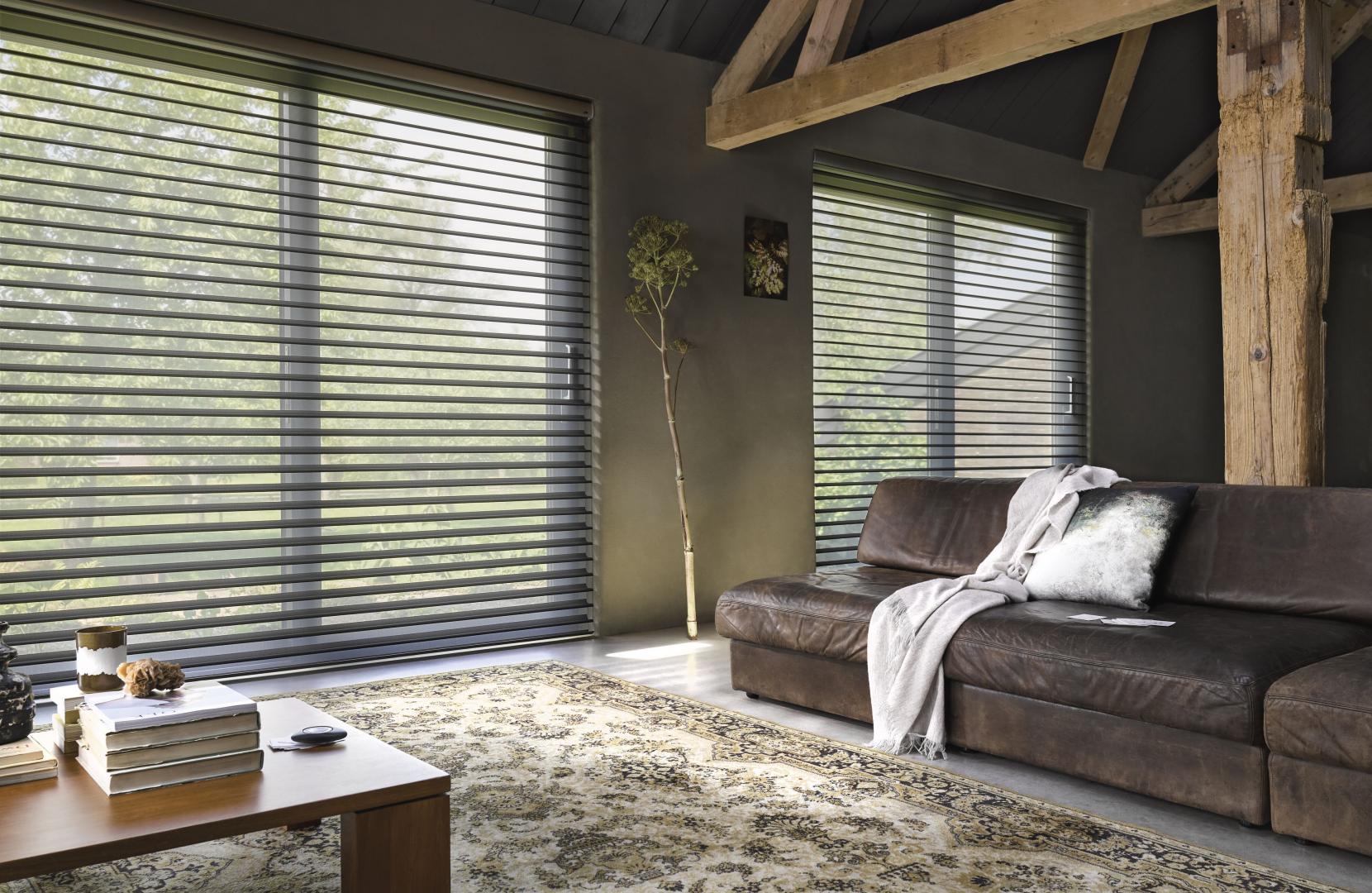 Luxaflex Silhouette® Shade