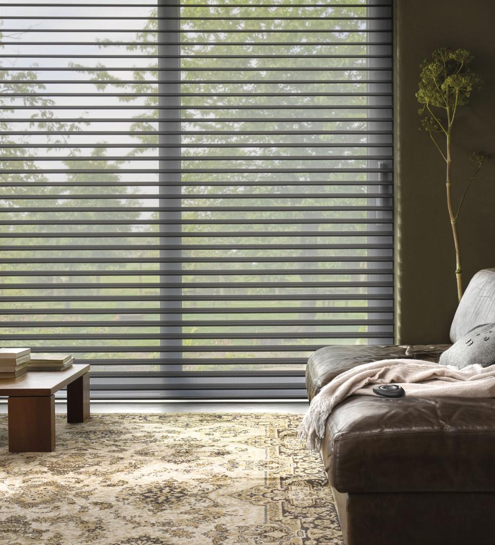 Luxaflex Silhouette® Shade