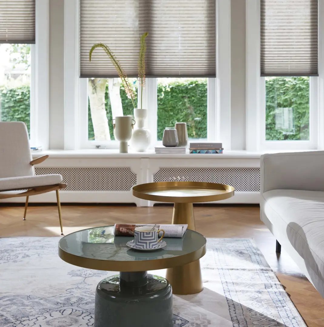 Luxaflex® Plissé Shade