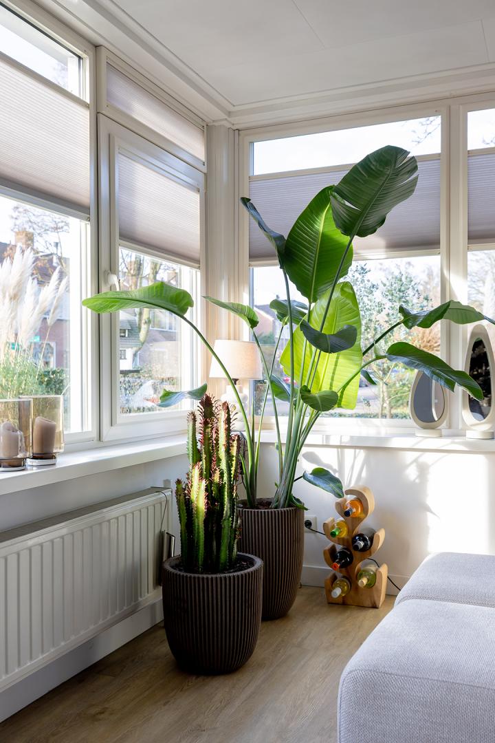 KeJe Vaste Raaamplissé