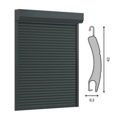 Rolluik RS42 (HK842)